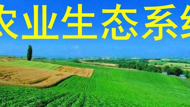新手农业种植入门：注意事项与技巧解析