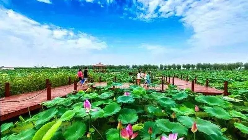 现代农业产业园建设：方案规划与报价解析**