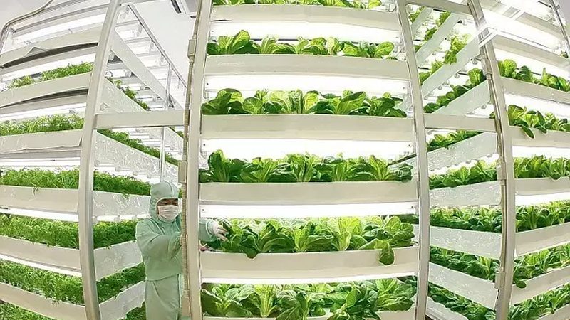 食品级塑料材质型号分类解析