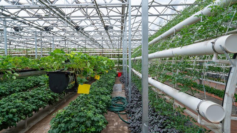 农业项目生产设备操作规范：保障效率与安全的要点解析