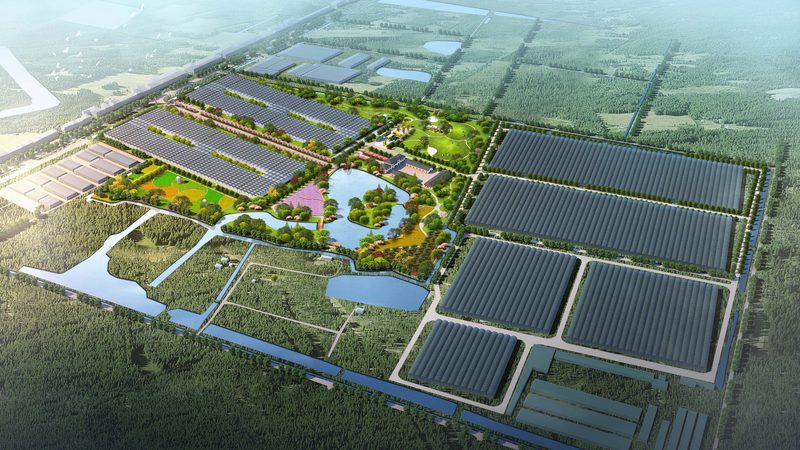 以下是一家在智慧农业领域具有代表性的公司案例：