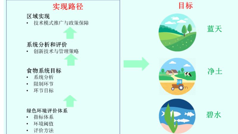 大棚种植成本解析：一亩多少钱的真相**