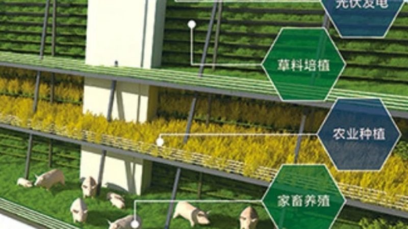 农资加盟店如何构建稳定的进货渠道？**