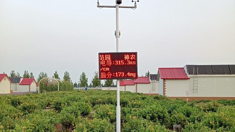 农业项目代理品牌：如何选择与评估？**