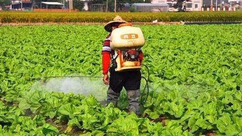 四川农业种植技术推广站代理政策解读：助力农业发展新篇章**