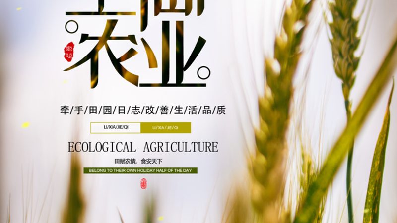 家庭农场饲料加工机：选对型号，提升养殖效益**